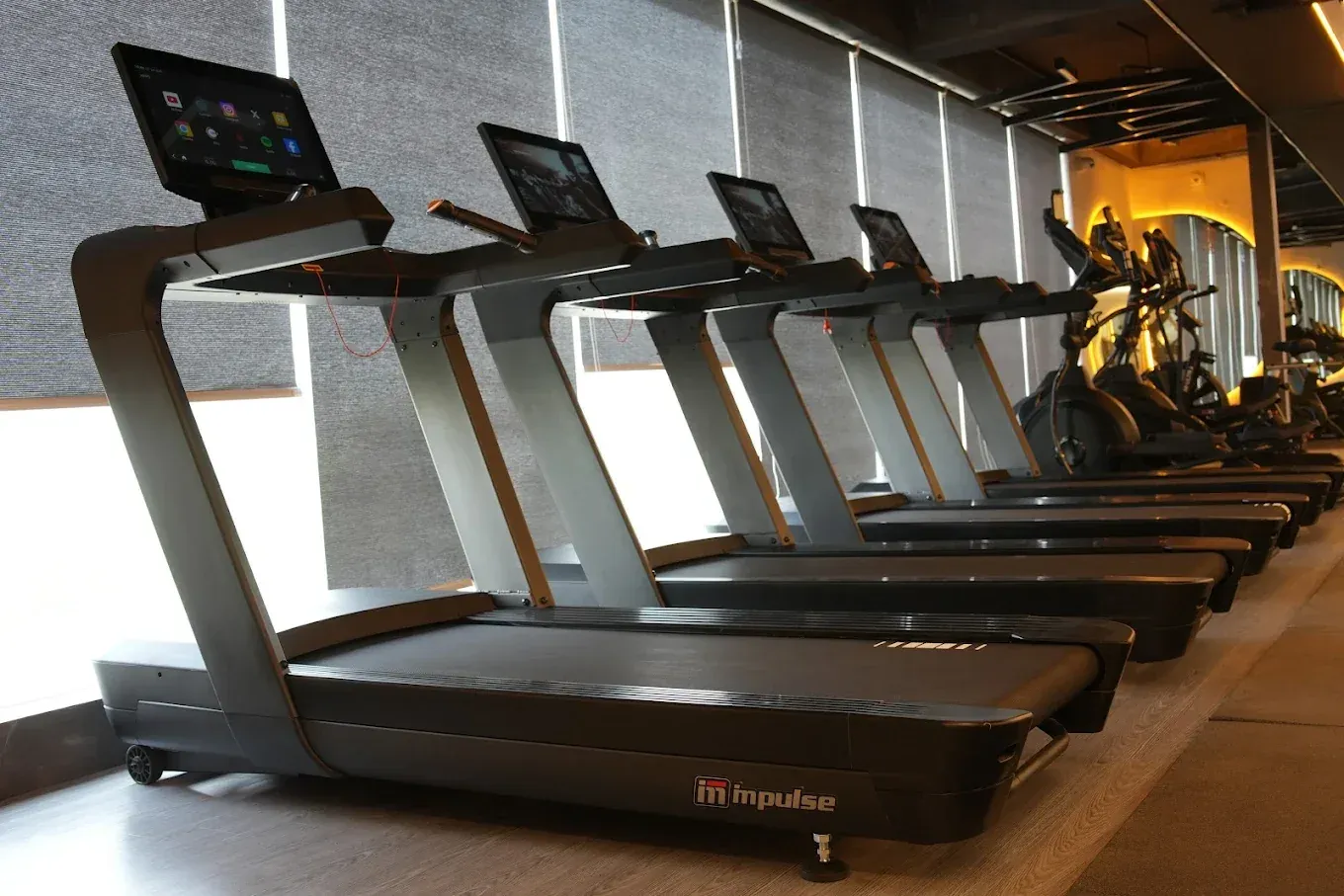 Treadmills on the M&Y Fitness Club cardio floor